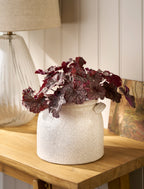 Ravello White Pot With Handles - 21cm