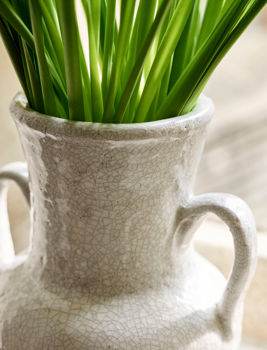 Ravello Vase With Handles - Stoneware (White)