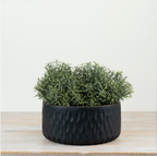 Black Ribbed Bowl