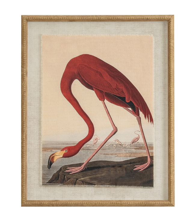 Flora & Fauna Collection - Flamingo