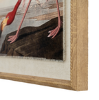 Flora & Fauna Collection - Flamingo