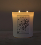 Norfolk Natural Living Autumn 91 Candle 8oz